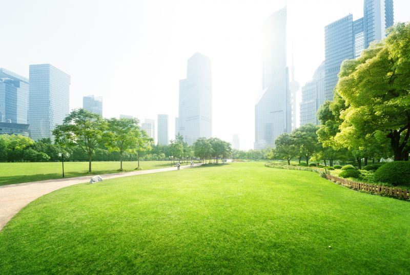 Park Landscaping in Ventura County, CA