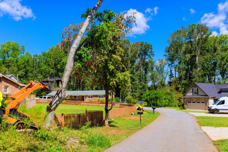 Contact About Rock Removal