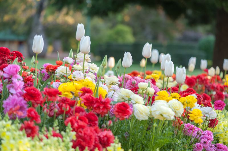 Flower Landscaping in Ventura County, CA