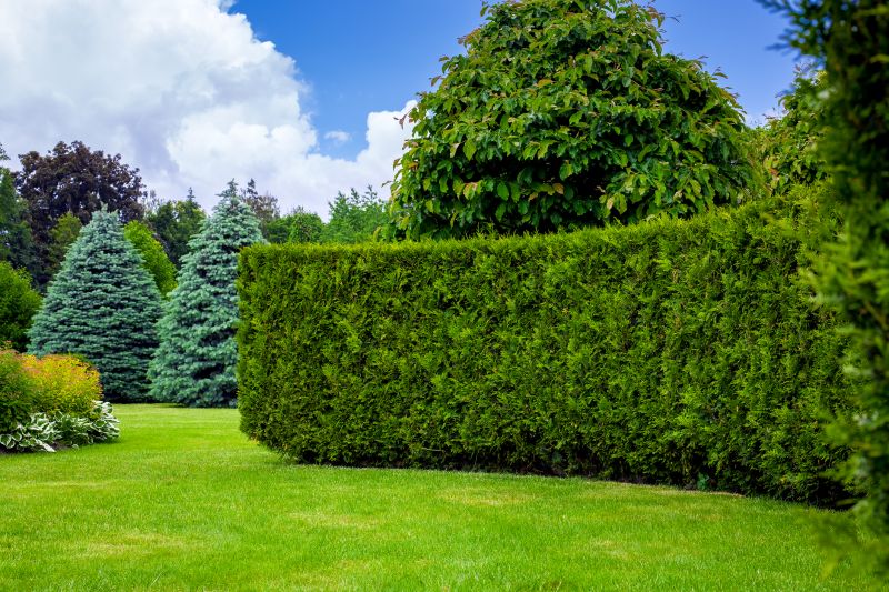 Hedge Landscaping in Ventura County, CA
