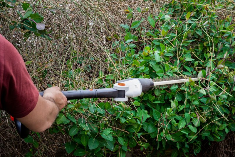 Hedge Replacement in Honolulu, HI