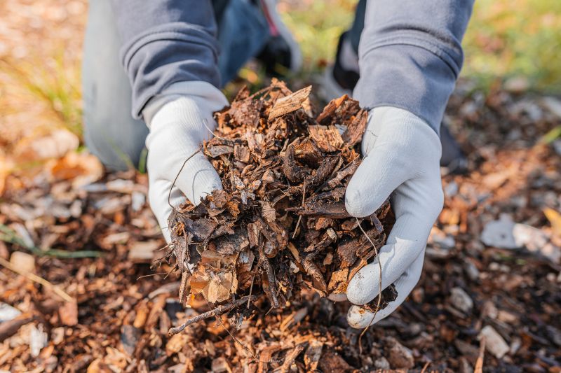 Organic Mulch Installation in Honolulu, HI