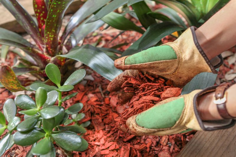 Residential Mulching in Honolulu, HI