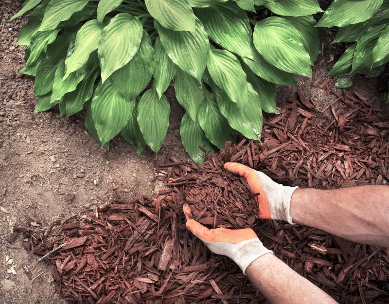 Shredded Mulch Service in Ventura County, CA