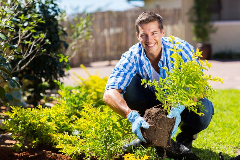 Shrub Installation in Honolulu, HI
