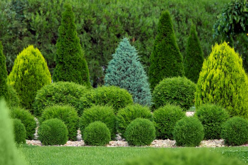 Shrub Landscaping in Ventura County, CA