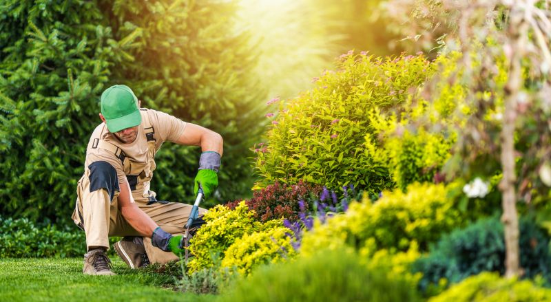 Spring Garden Maintenance in Honolulu, HI