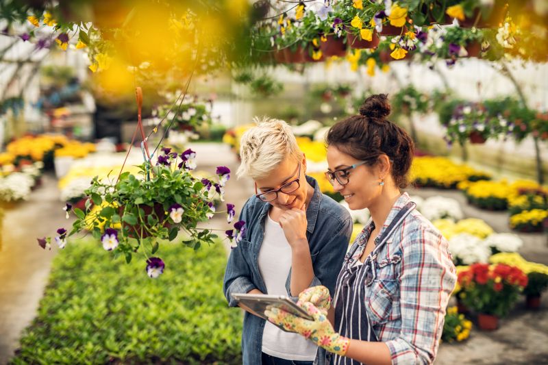 Spring Garden Maintenance in Honolulu, HI